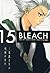 Bleach Remix, Vol. 15 book cover