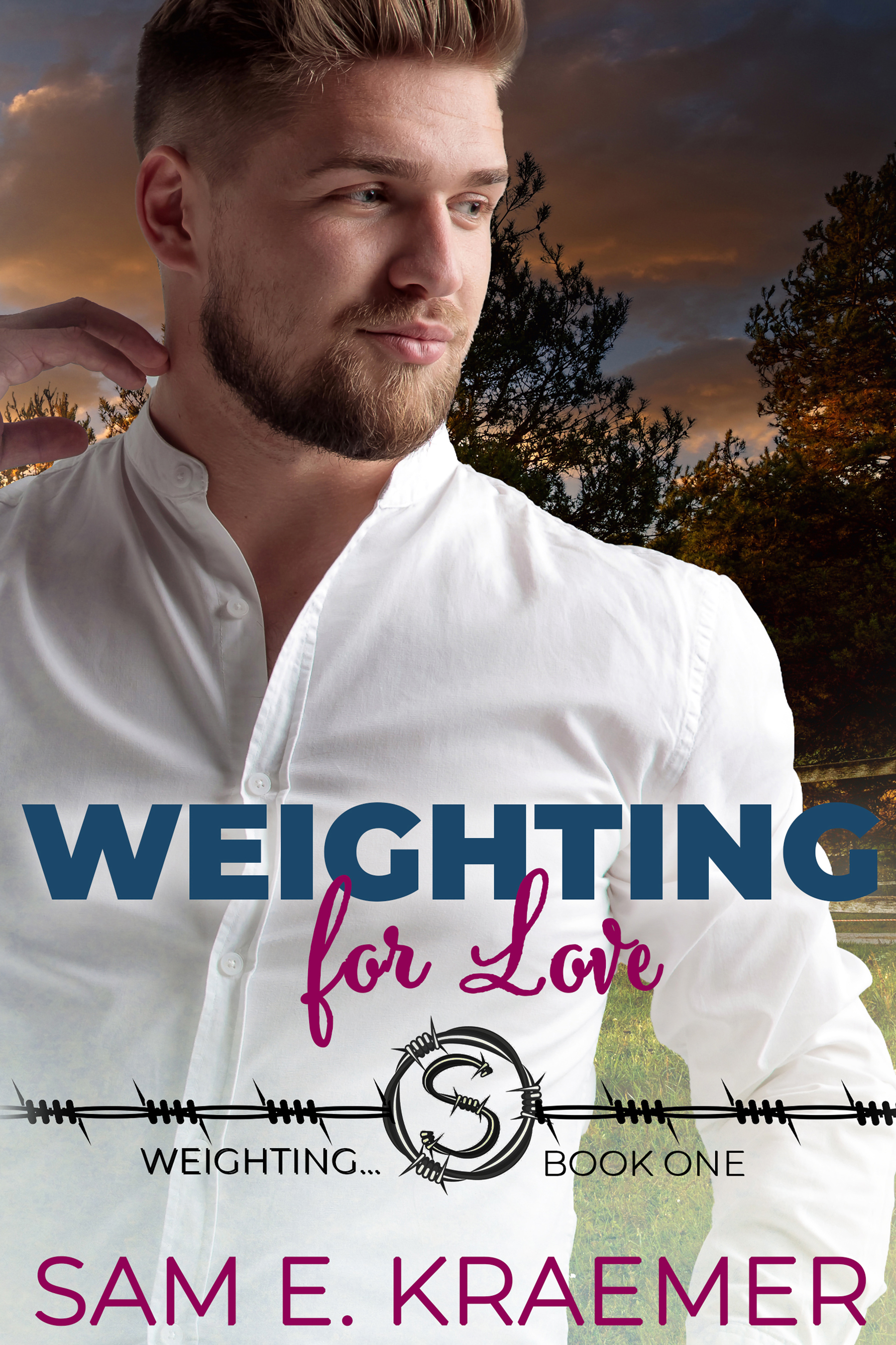 Weighting... book cover 1