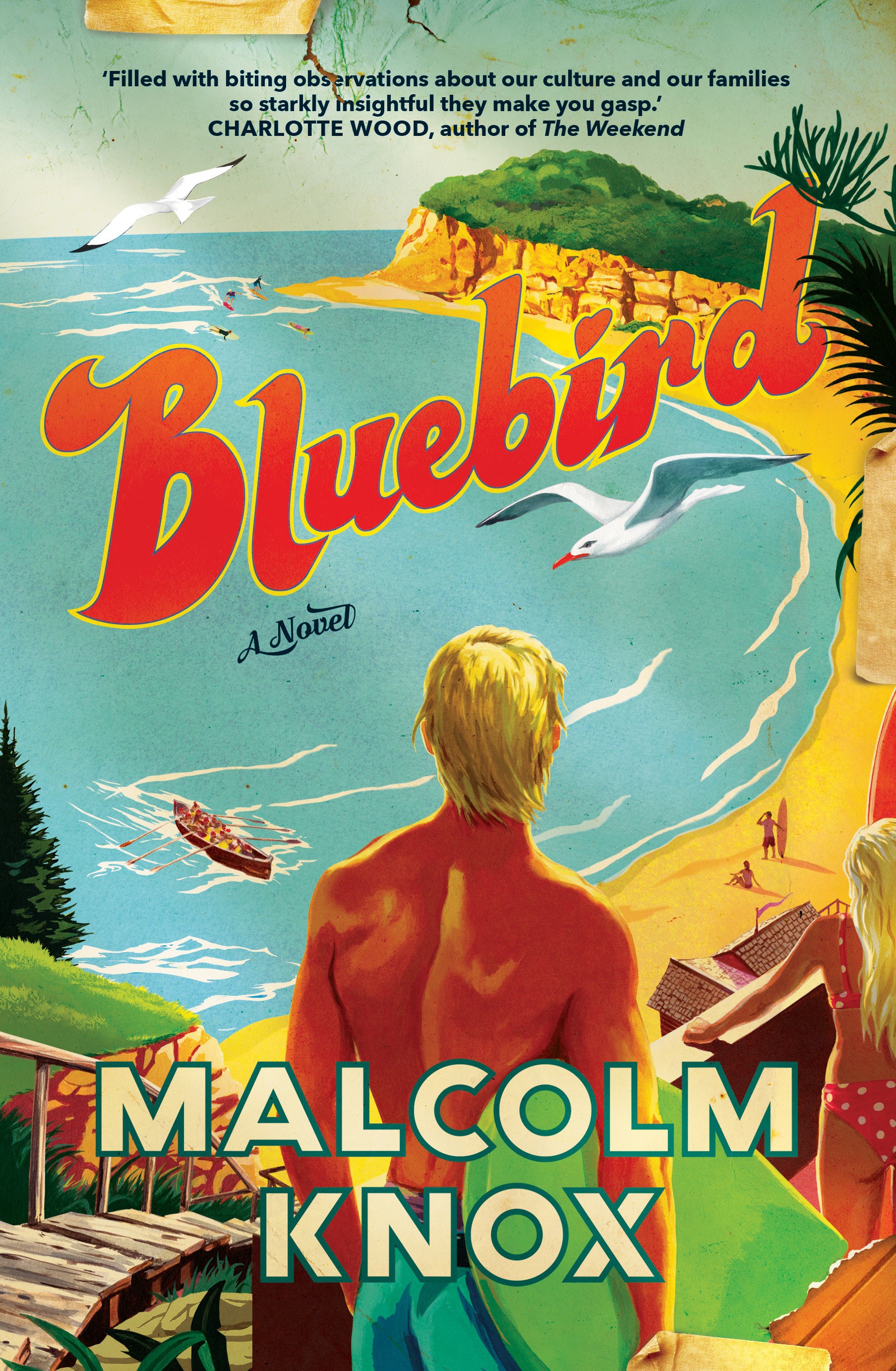 Bluebird book cover