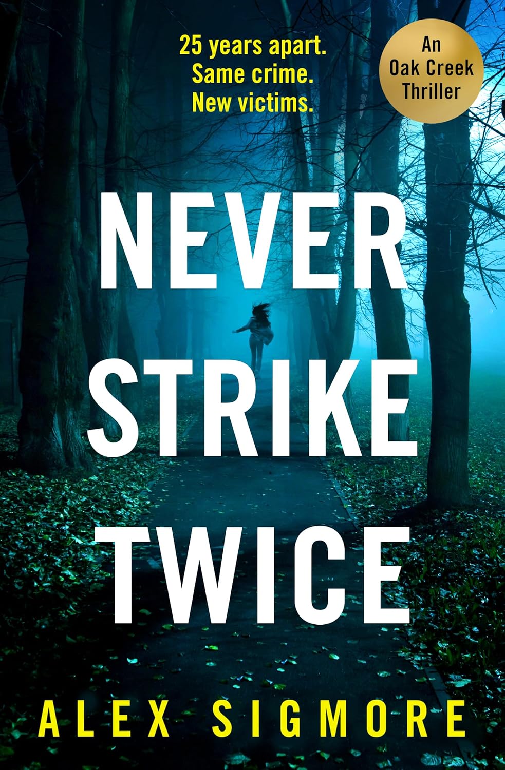 Oak Creek Thriller book cover 2