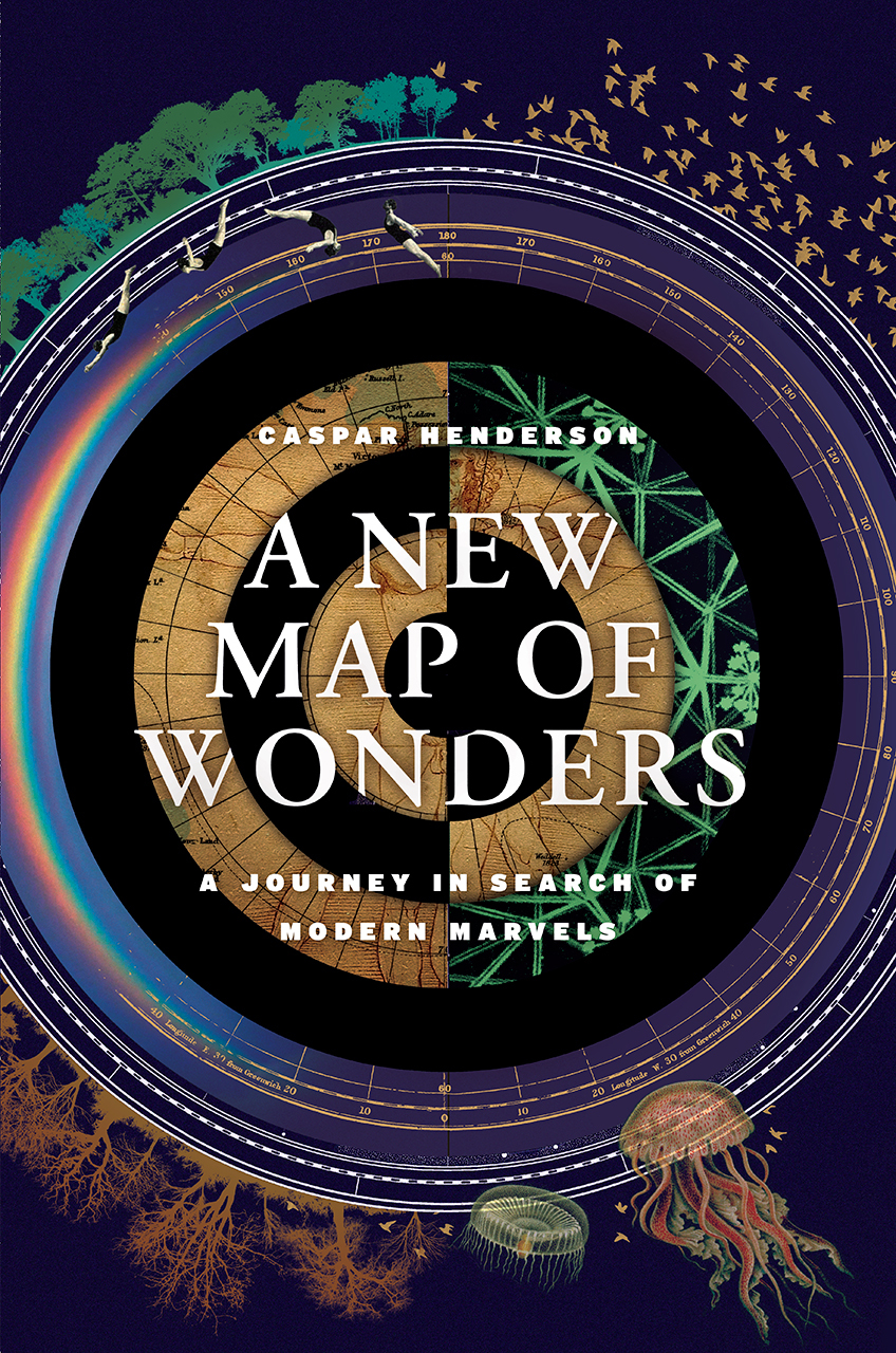 A New Map of Wonders book cover