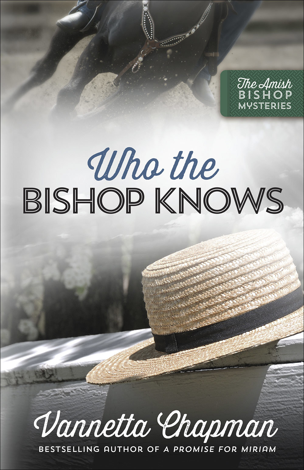 The Amish Bishop Mysteries book cover 3