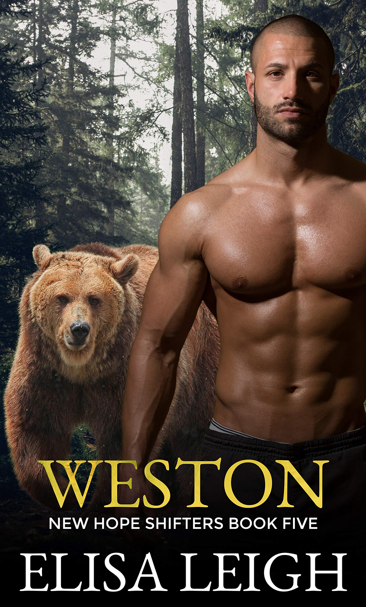 Weston book cover