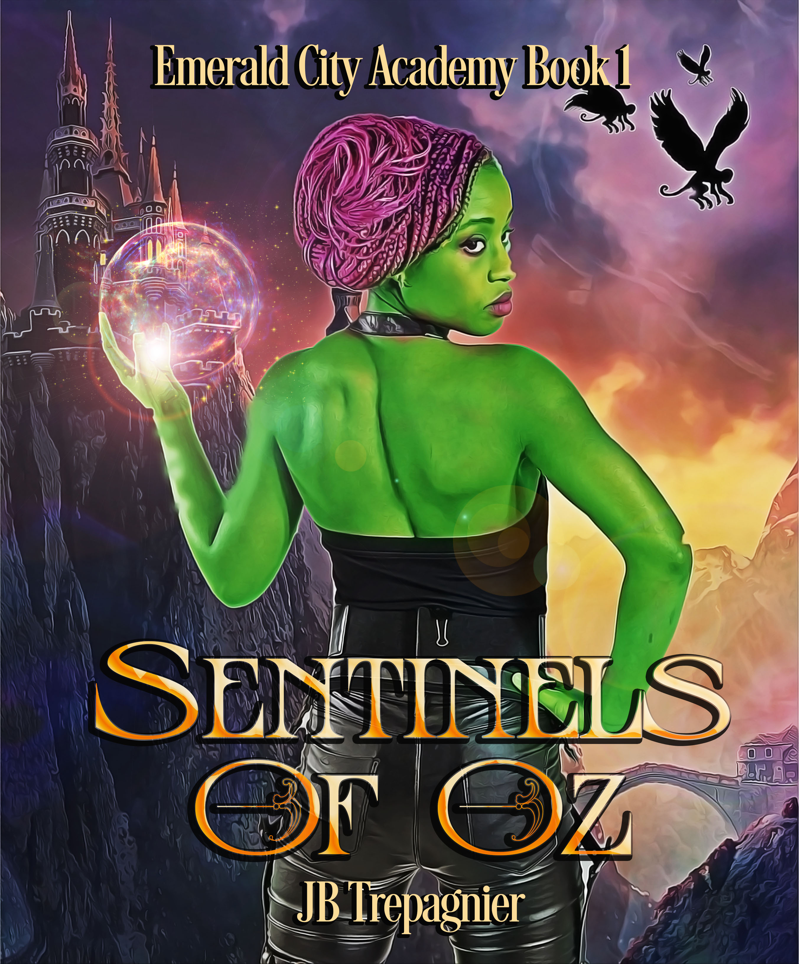 Emerald City Academy book cover 1