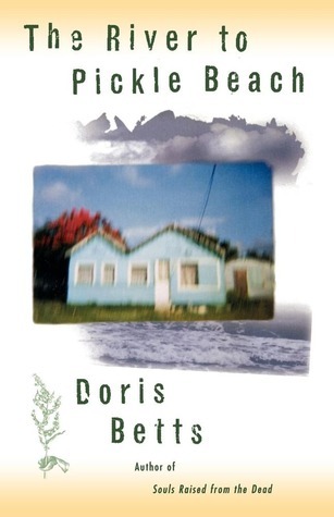 The River to Pickle Beach book cover