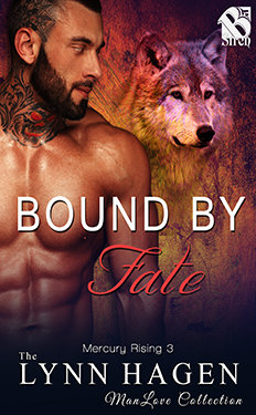 Bound By Fate book cover