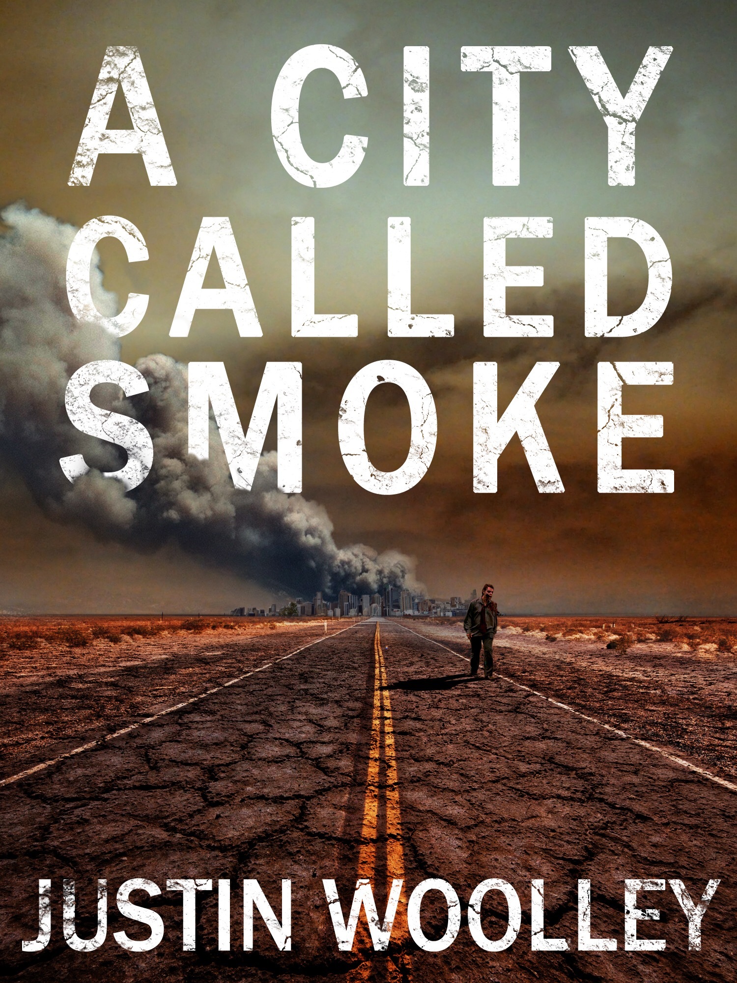 The Territory book cover 2