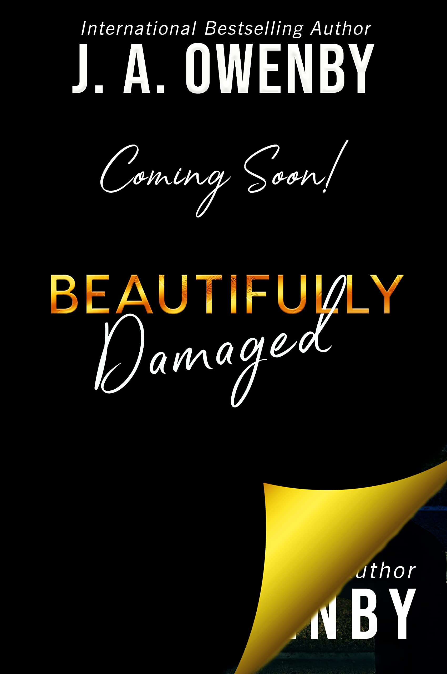 Beautifully Damaged book cover