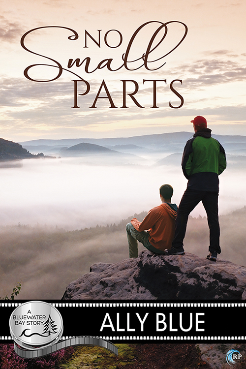 No Small Parts book cover
