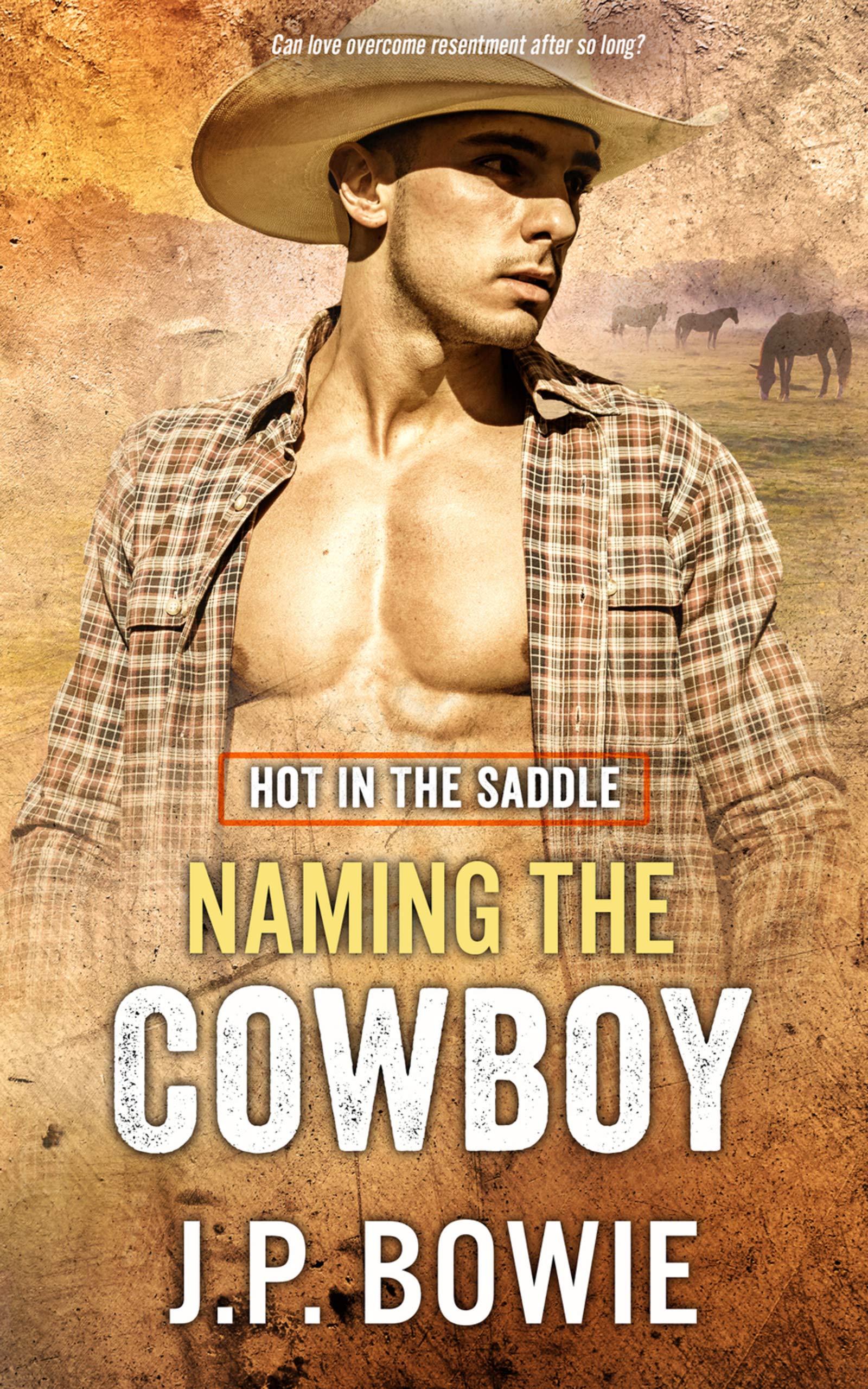 Naming the Cowboy book cover