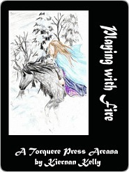 Playing with Fire book cover