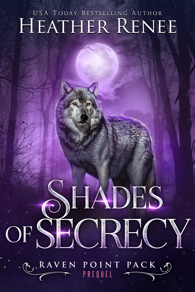 Shades of Secrecy book cover