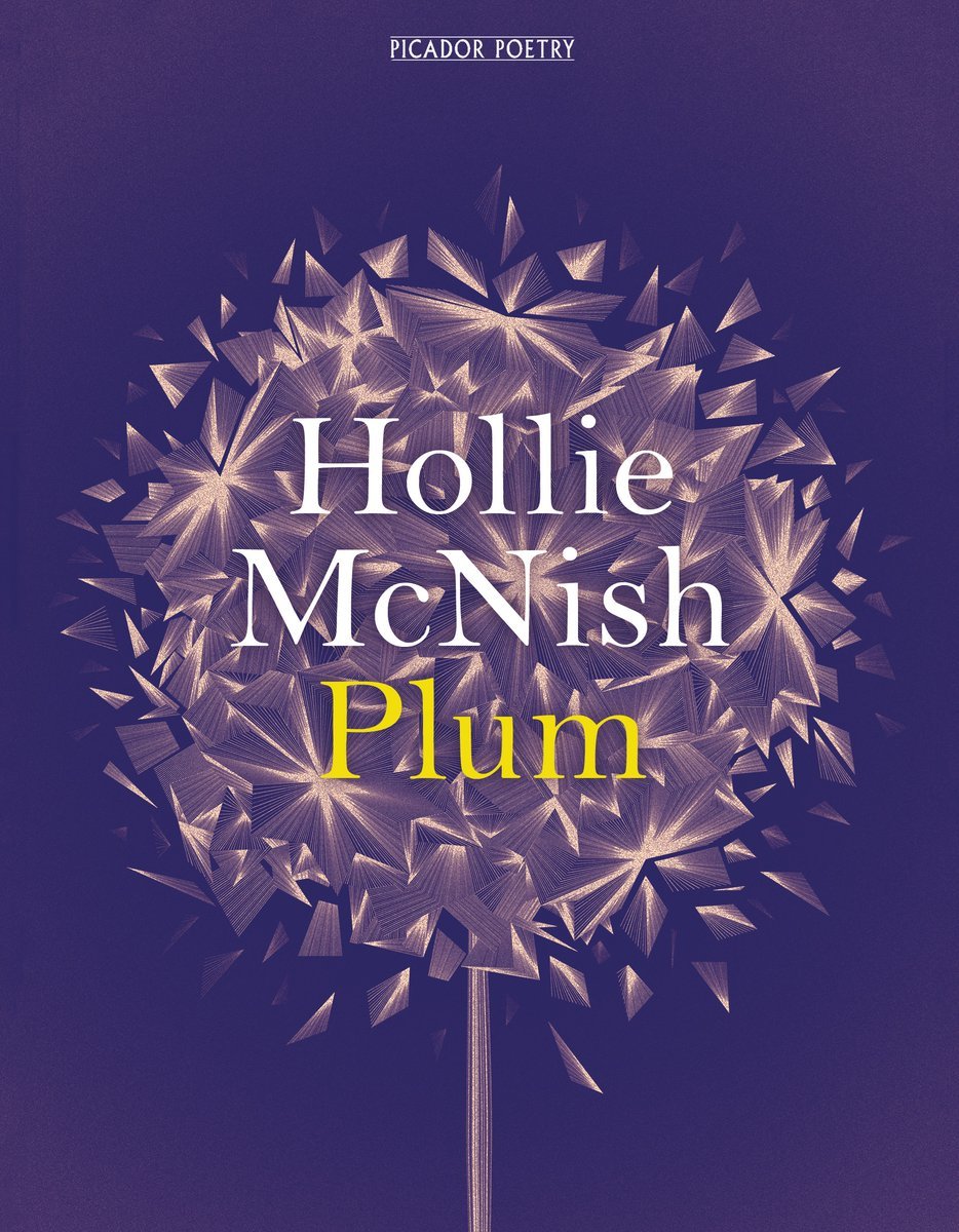 Plum book cover