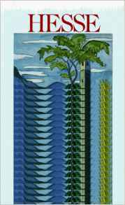 Tessin book cover