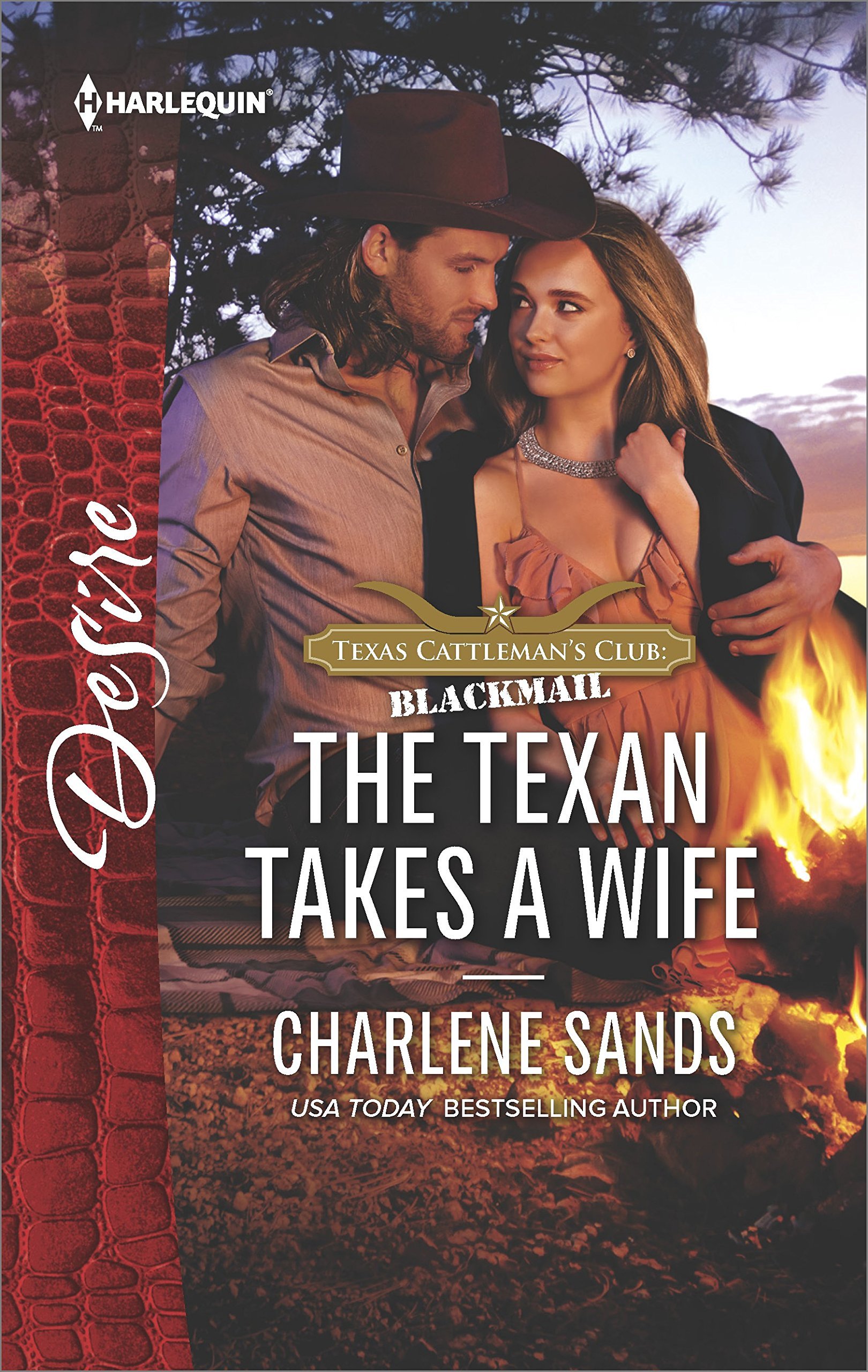The Texan Takes a Wife book cover