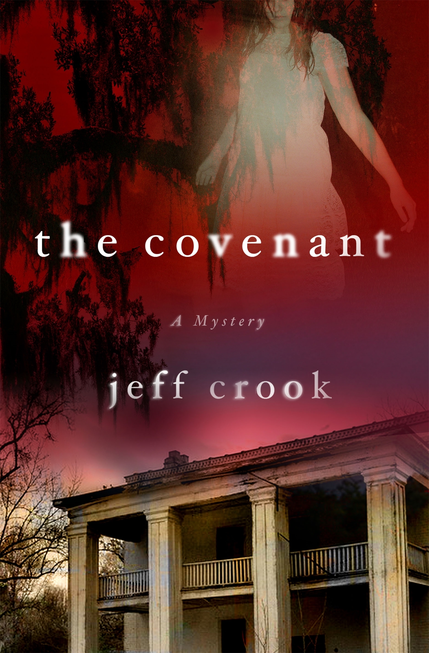 Jackie Lyons book cover 2