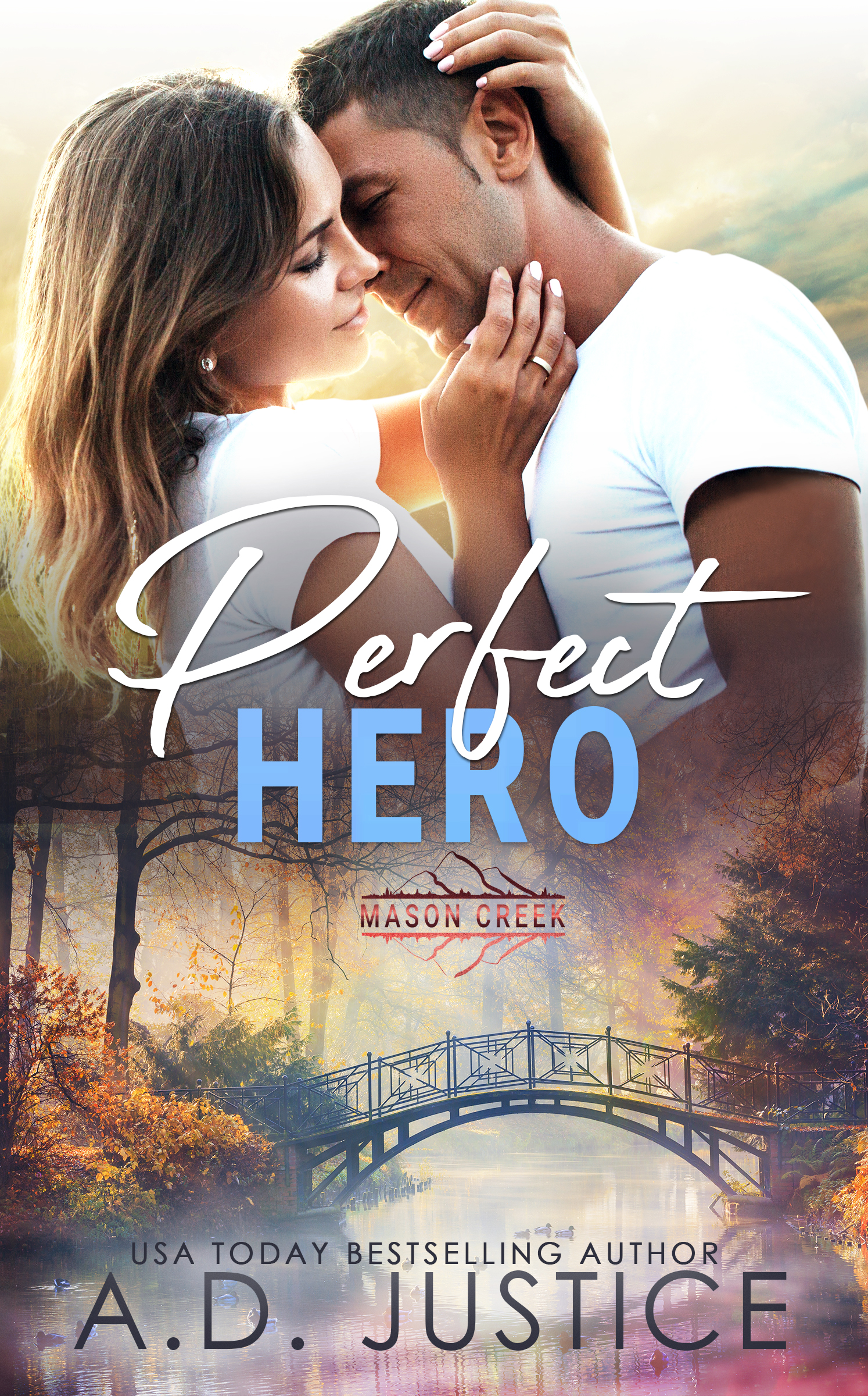 Perfect Hero book cover