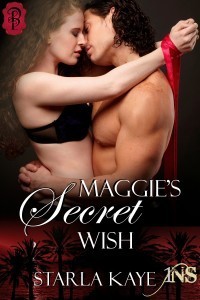 Maggie's Secret Wish book cover