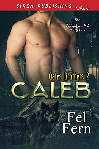 Gates Brothers book cover 2