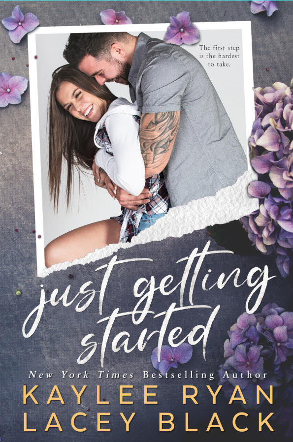 Fair Lakes book cover 2