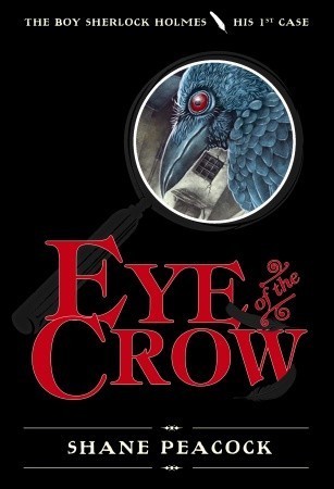 Eye of the Crow book cover