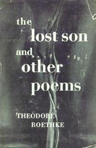 The Lost Son & Other Poems book cover