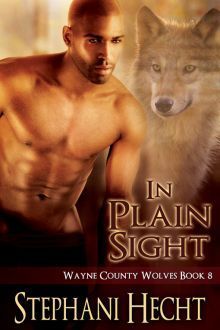 In Plain Sight book cover