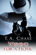 Home book cover 3