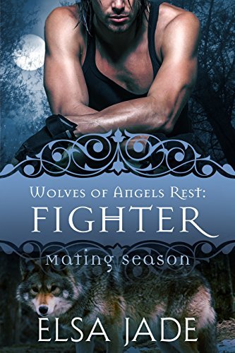 Fighter book cover
