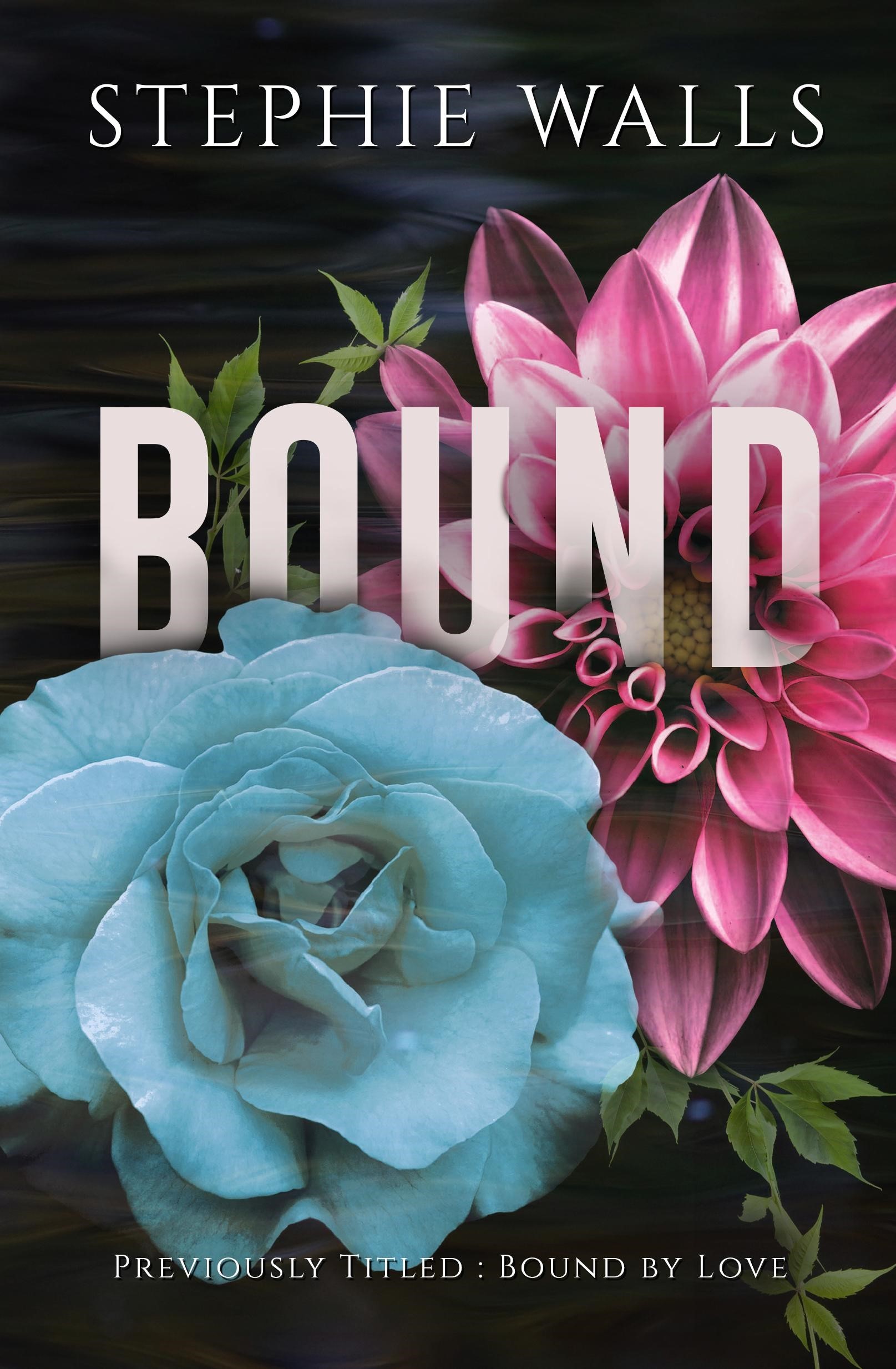Bound Duet book cover 1