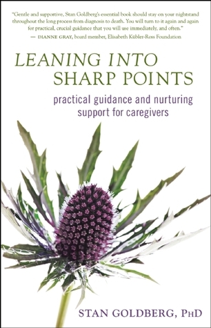 Leaning into Sharp Points book cover