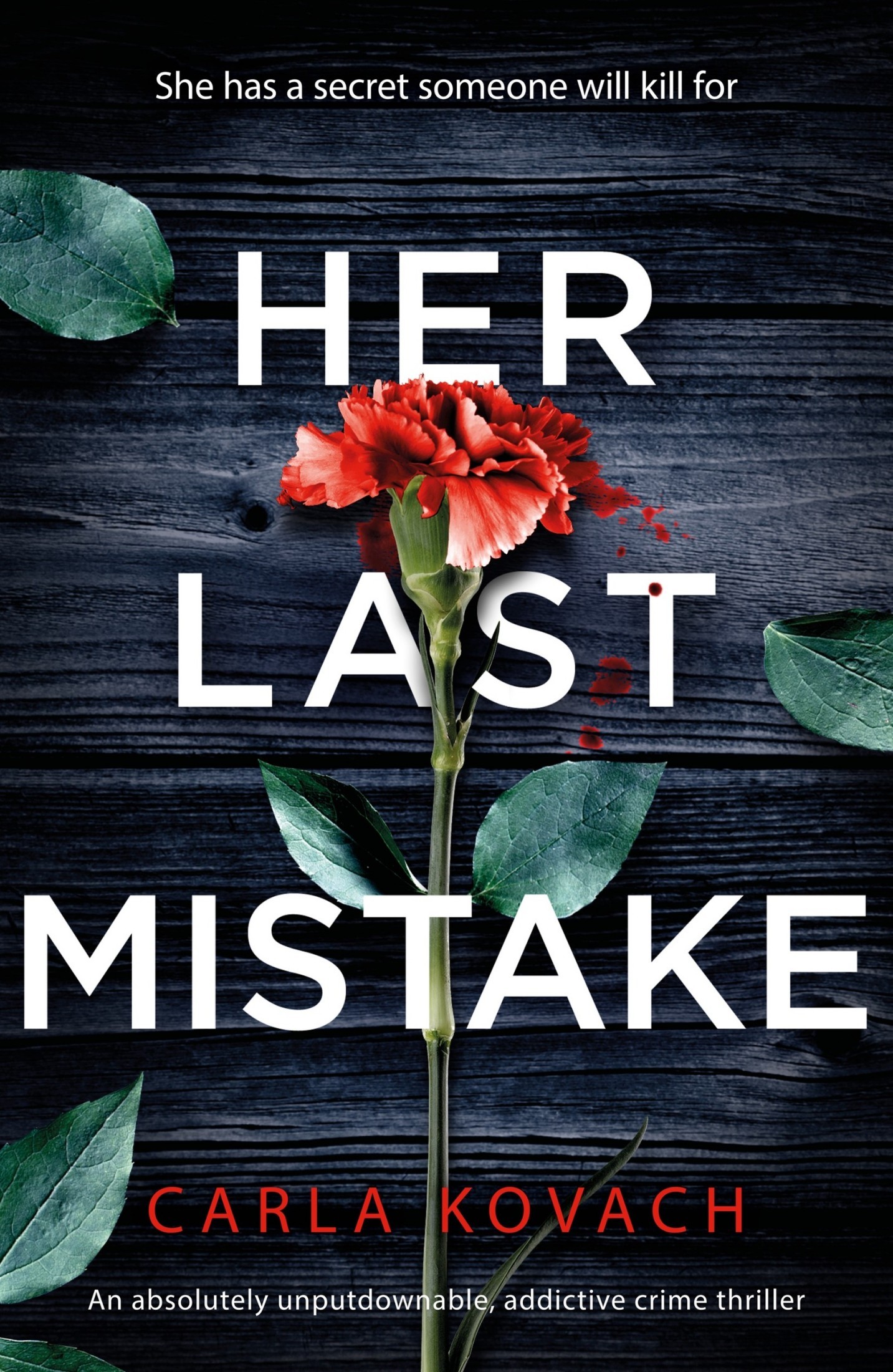 Her Last Mistake book cover