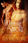 Phoenix Prophecy book cover 3
