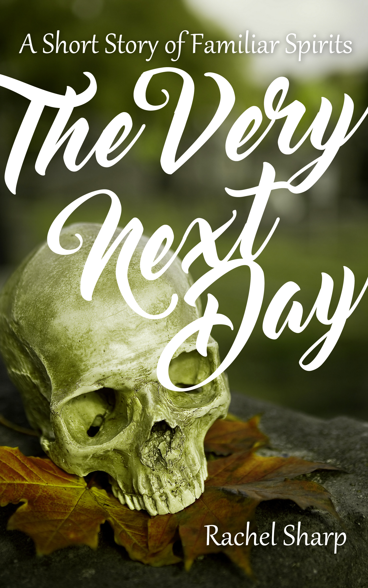 The Very Next Day book cover