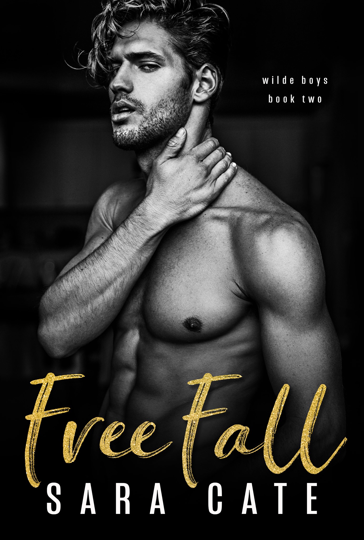 Wilde Boys book cover 2
