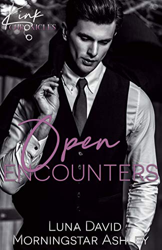 Kink Chronicles book cover 2