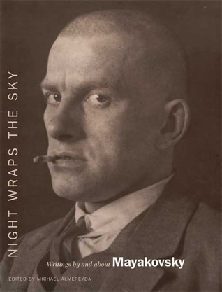 Night Wraps the Sky book cover