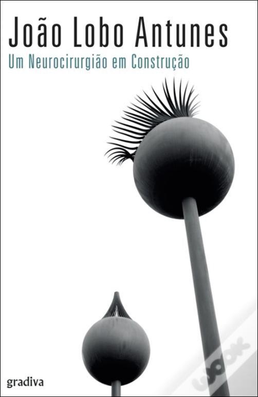 Um neurocirurgião em construção book cover