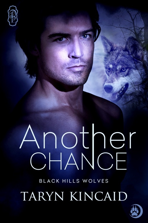 Another Chance book cover