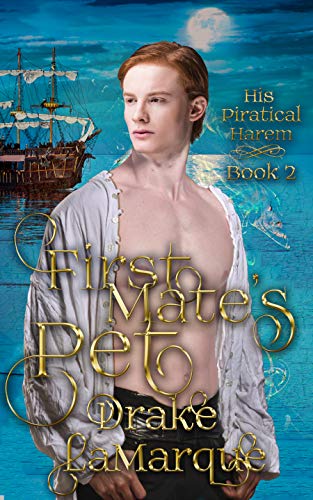 His Piratical Harem book cover 2