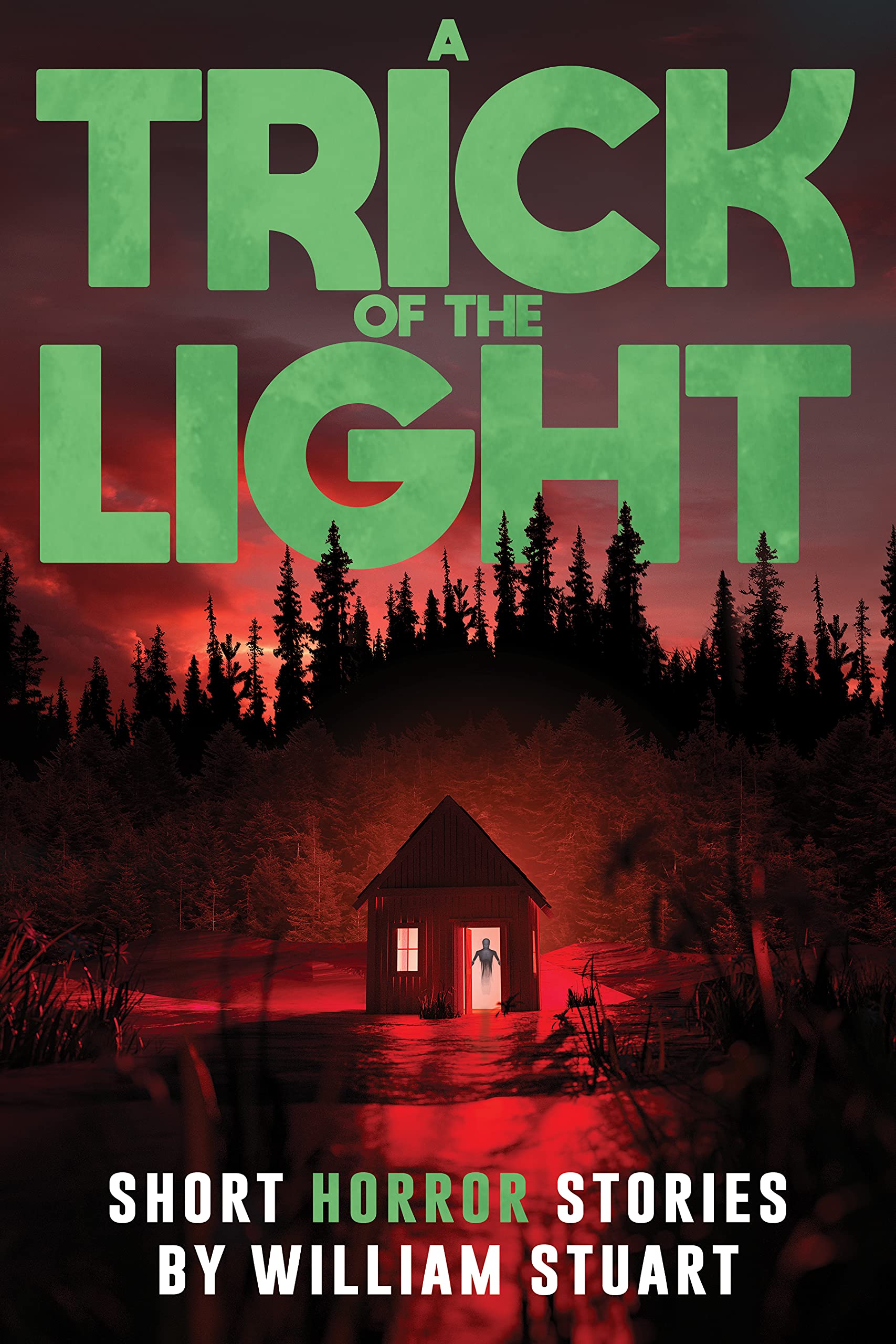 A Trick of the Light book cover