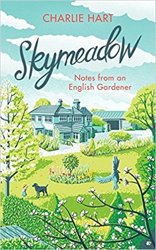 Skymeadow book cover