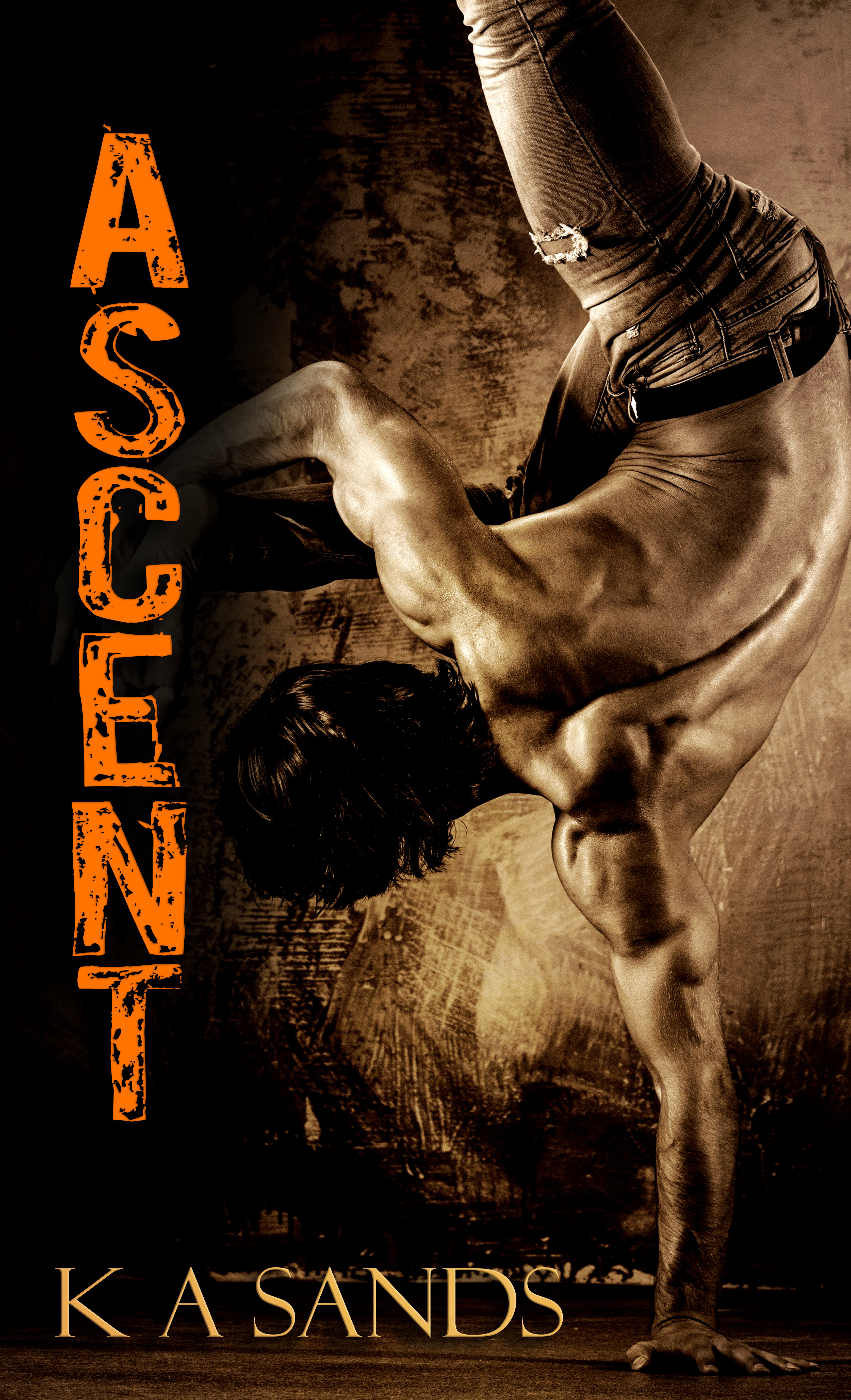 Club Descent book cover 2