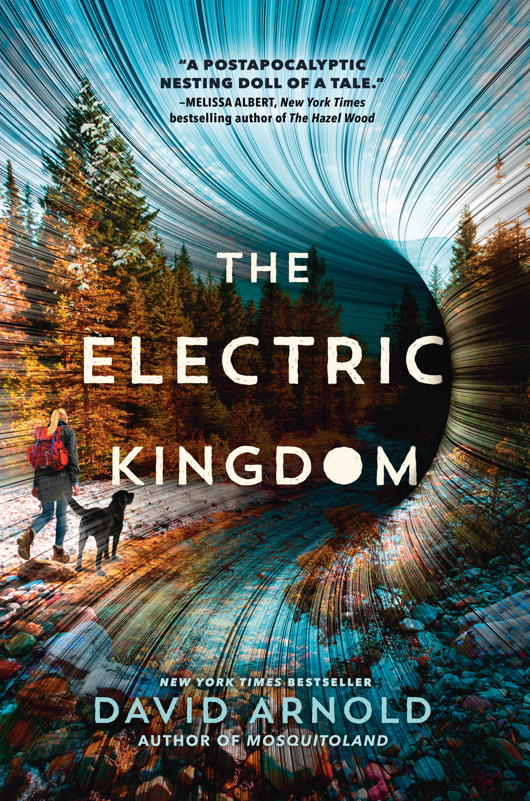The Electric Kingdom book cover
