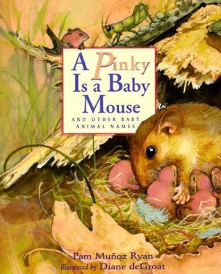 A Pinky is a Baby Mouse book cover