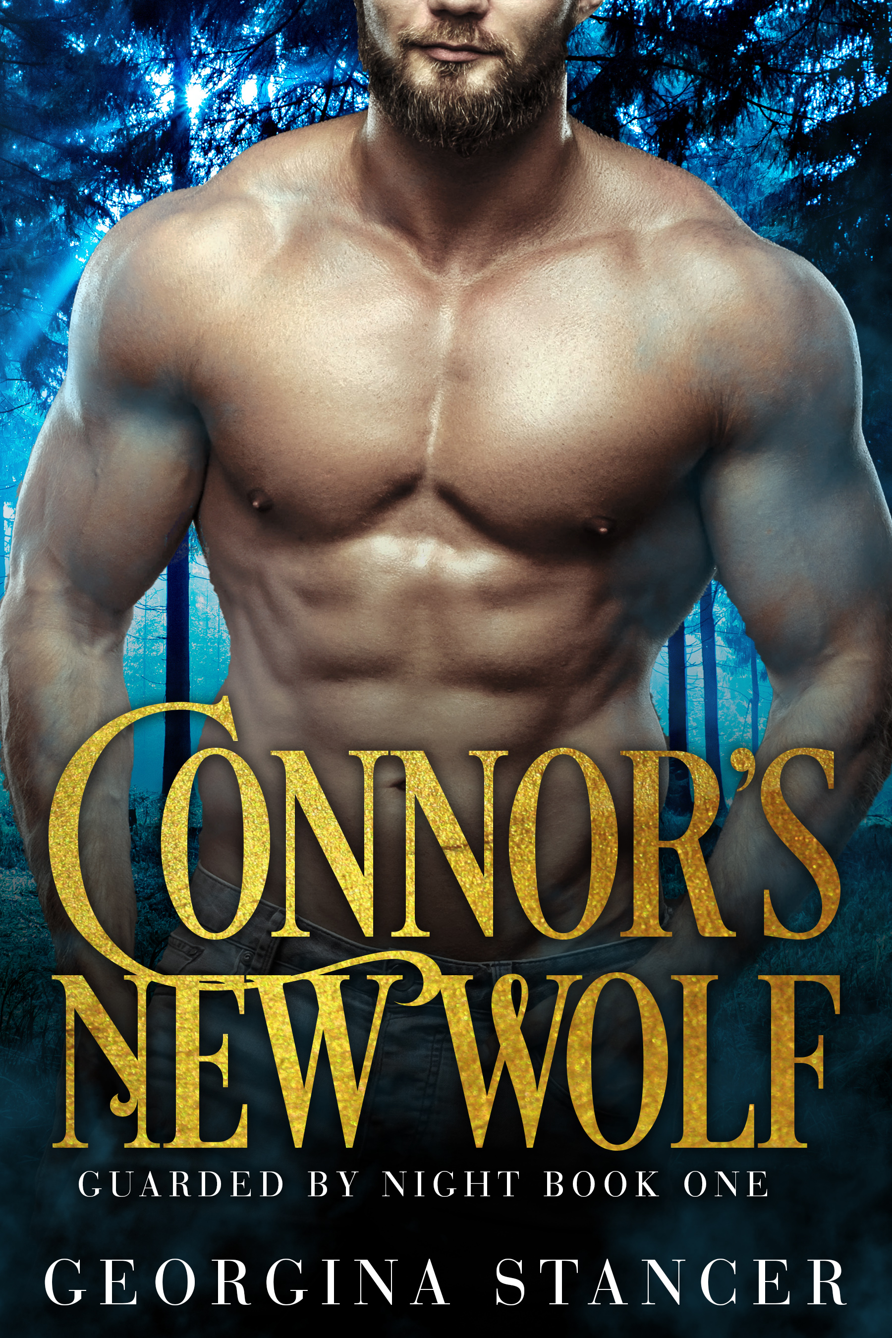 Guarded by Night book cover 1