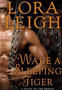 Wake A Sleeping Tiger book cover