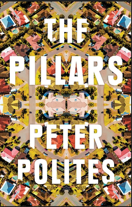 The Pillars book cover