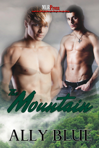 The Mountain book cover