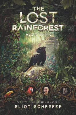 The Lost Rainforest book cover 1